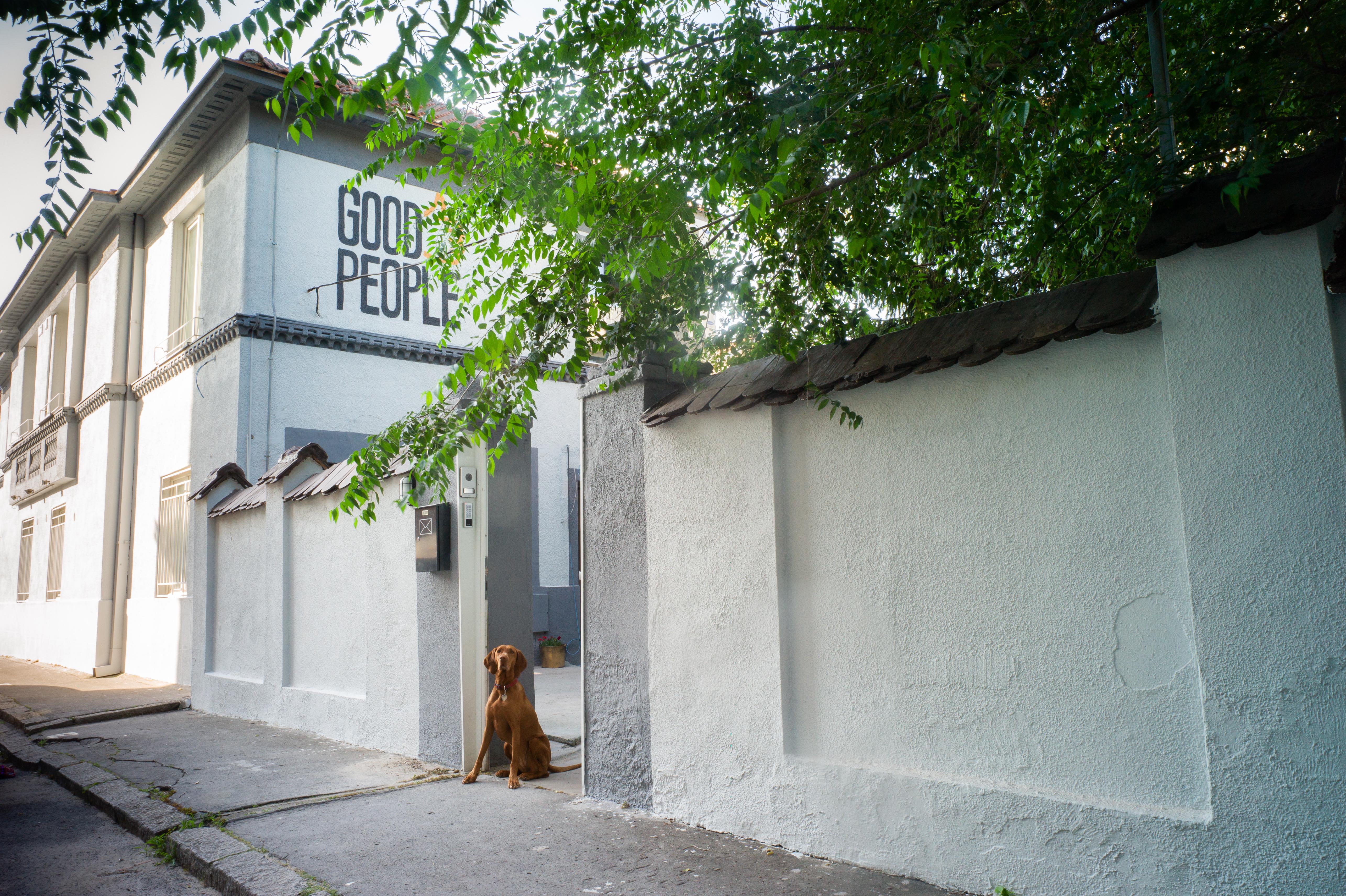Good People Design Hostel Belgrad Dış mekan fotoğraf